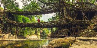 Meghalaya